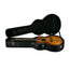 PRS SE T40E Tonare Hollow Body Acoustic Guitar, Tobacco Sunburst, F01128