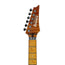 Ibanez J Custom Limited Edition JCRG2001-SAL Electric Guitar, Salamandra, G20310